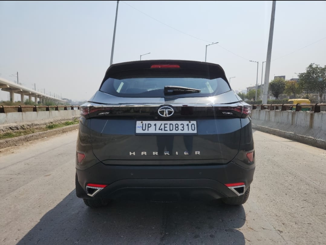 Harrier image 4 Harrier image 4