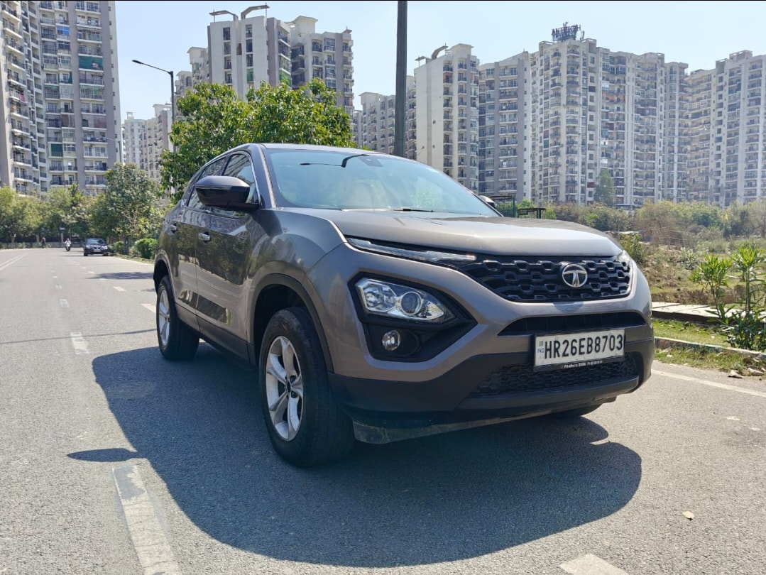 Harrier image 7 Harrier image 7