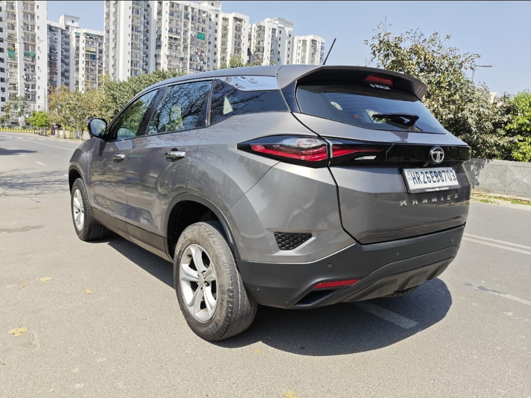 Harrier image 3 Harrier image 3