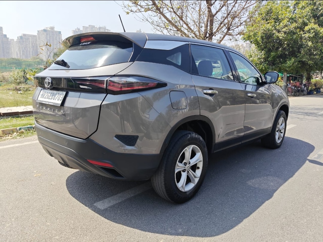 Harrier image 5 Harrier image 5