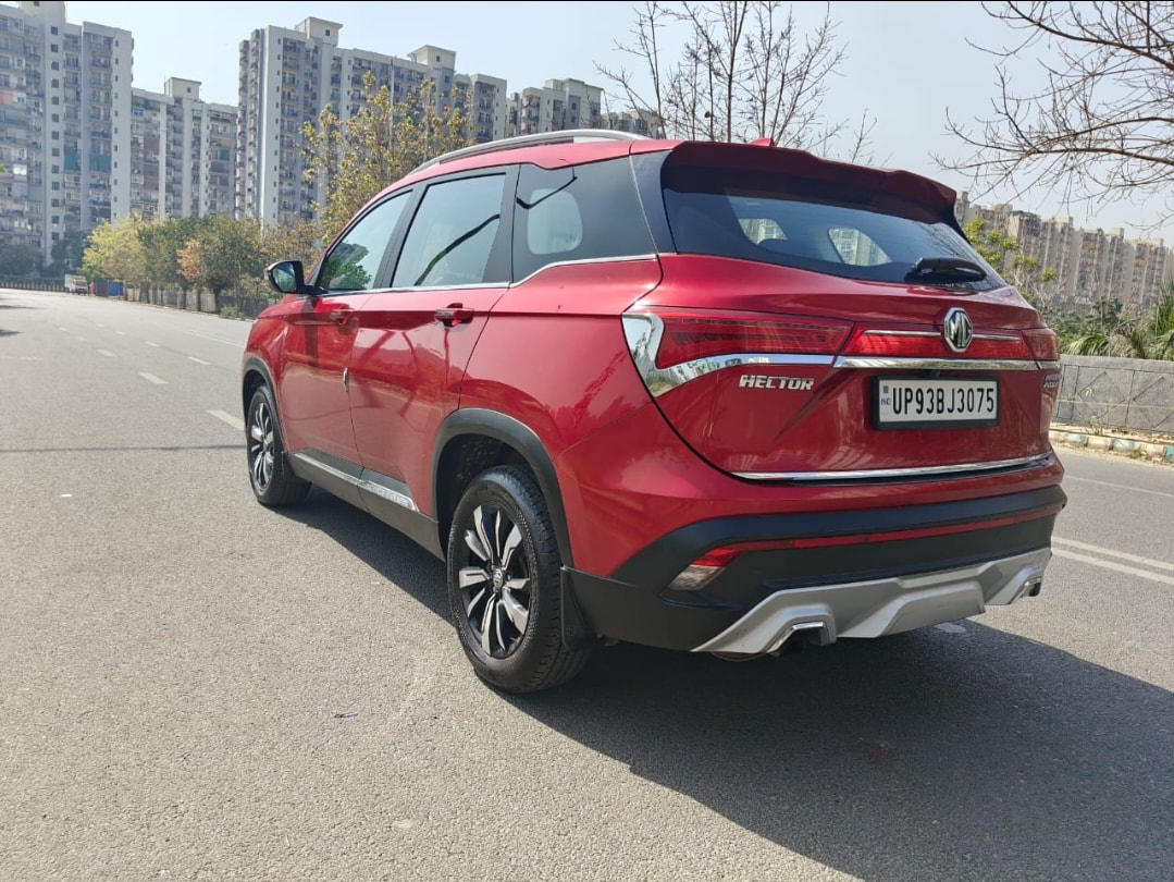 Hector image 3 Hector image 3