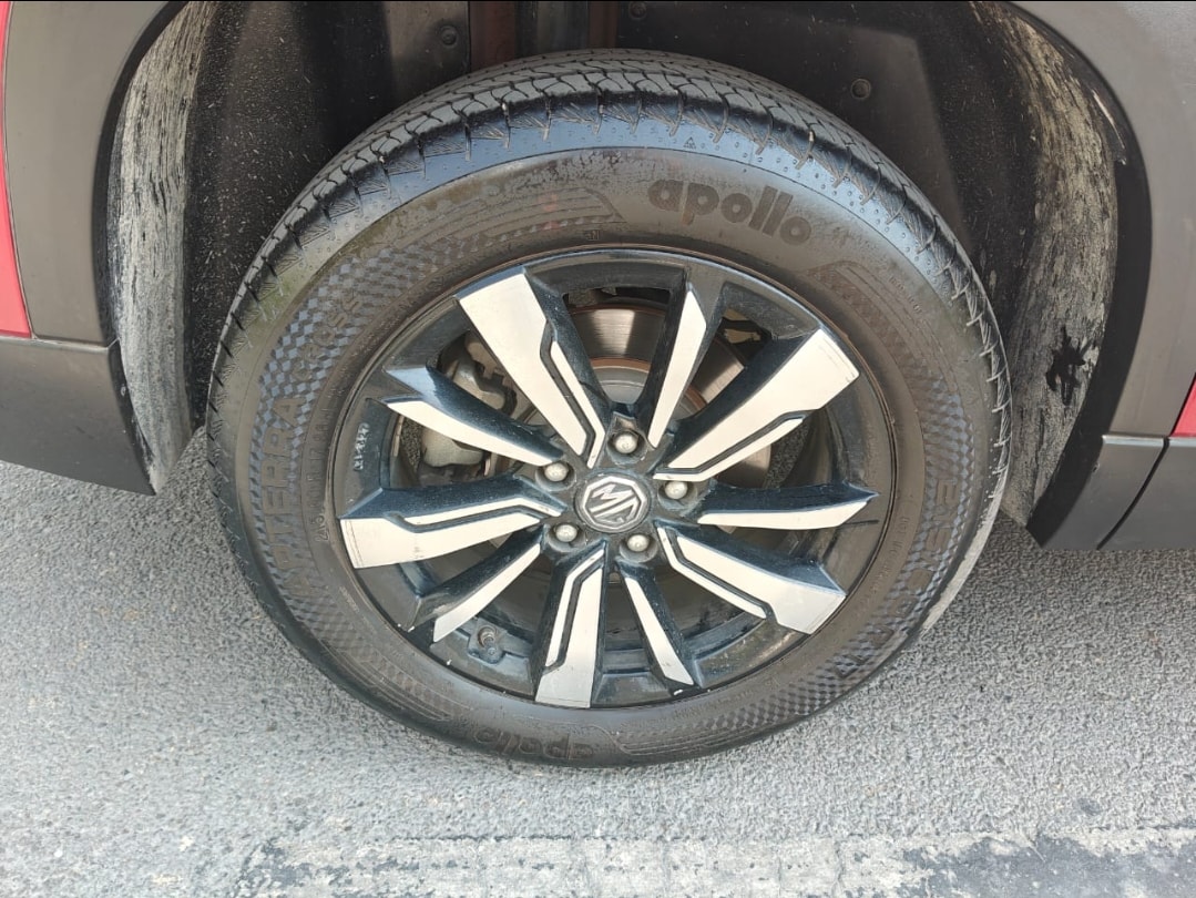 Hector image 9 Hector image 9