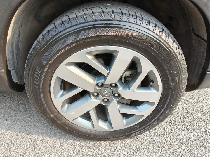 Safari image 9 Safari image 9