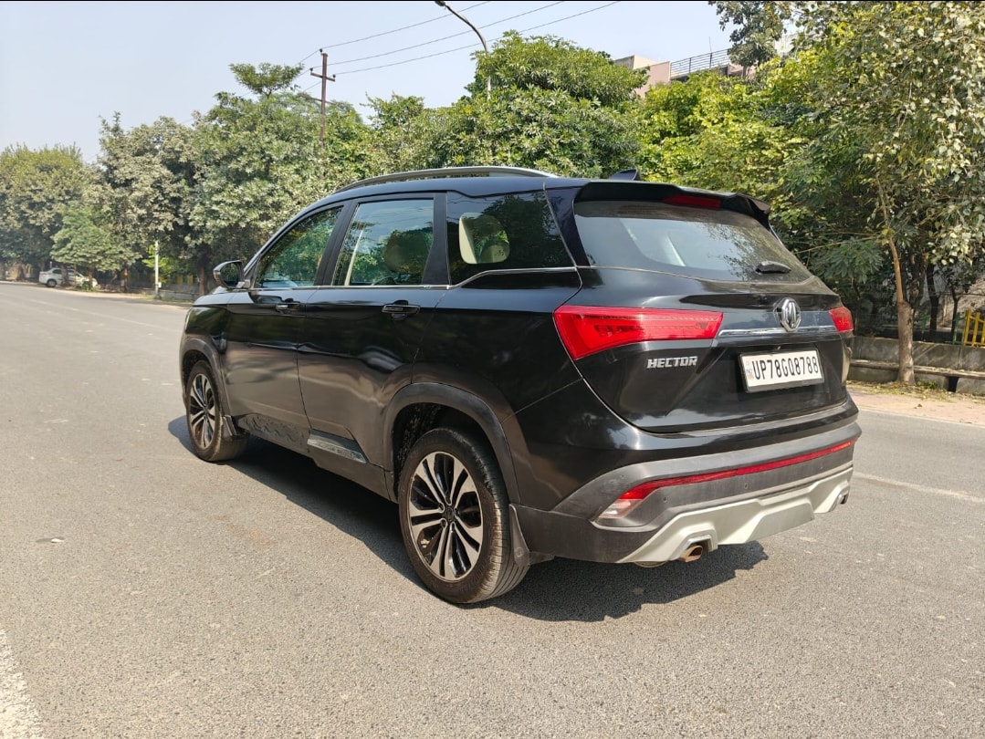 Hector image 5 Hector image 5