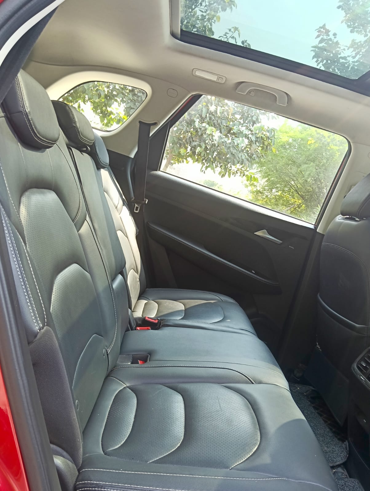 Hector image 15 Hector image 15