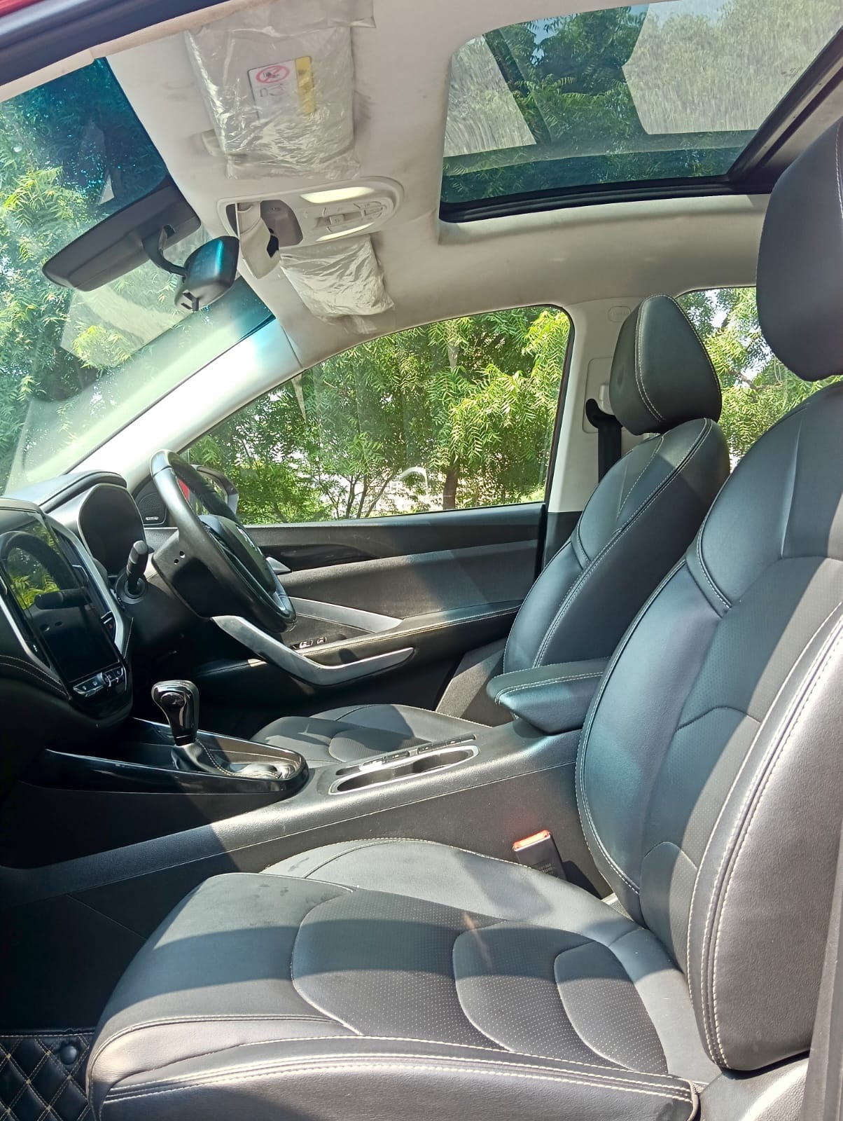 Hector image 12 Hector image 12