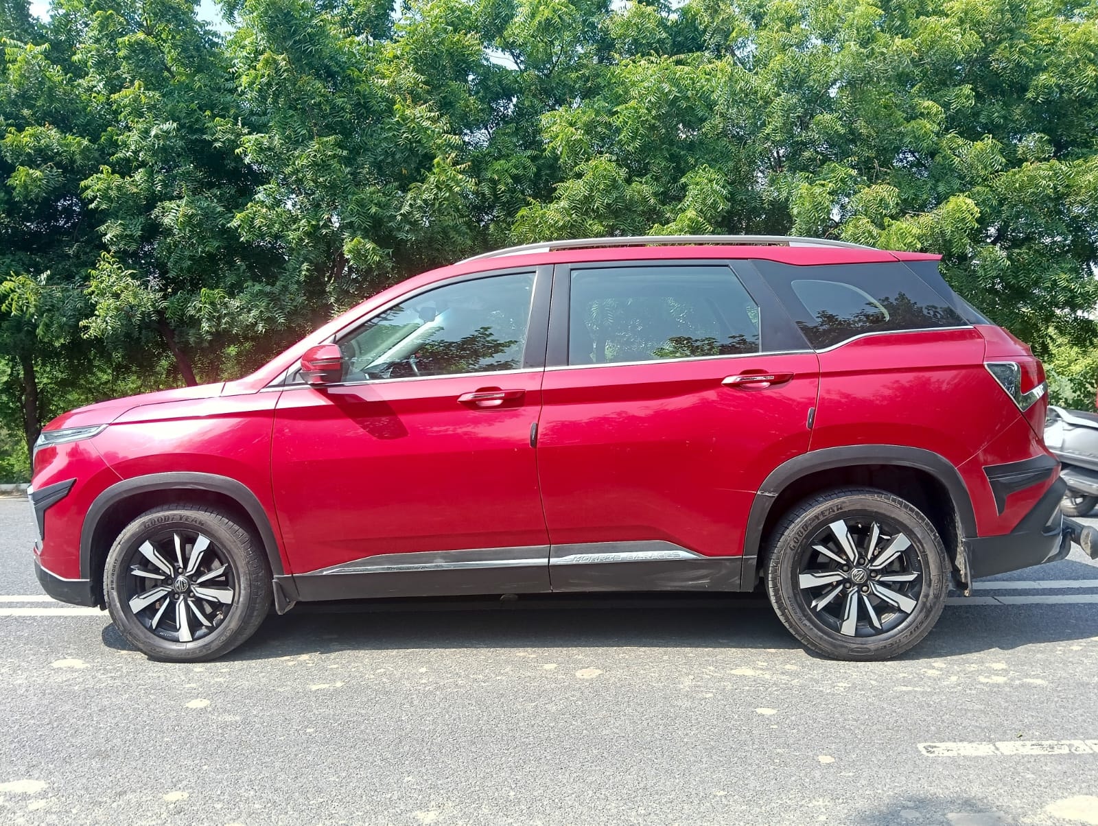 Hector image 2 Hector image 2