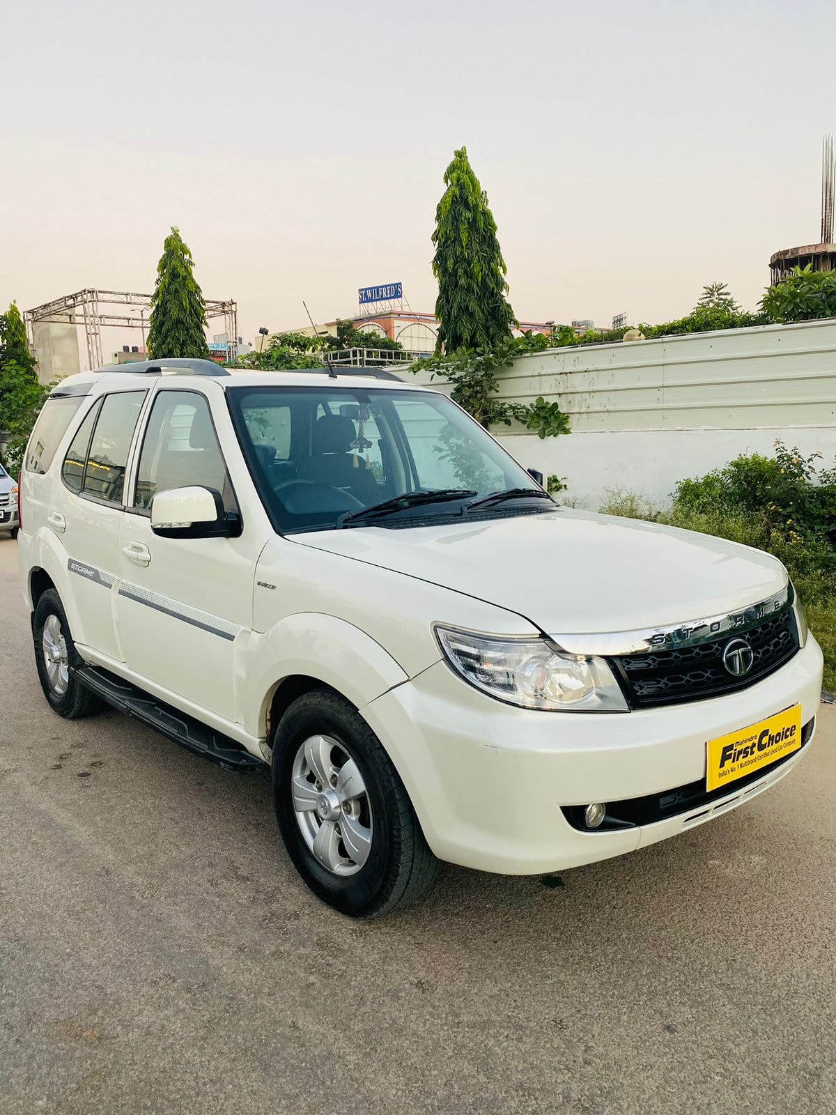 Safari Storme image 2 Safari Storme image 2