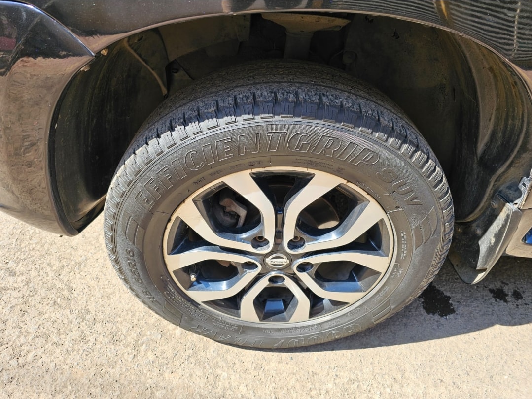 Terrano image 8 Terrano image 8