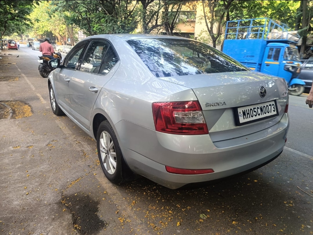 Octavia image 3 Octavia image 3