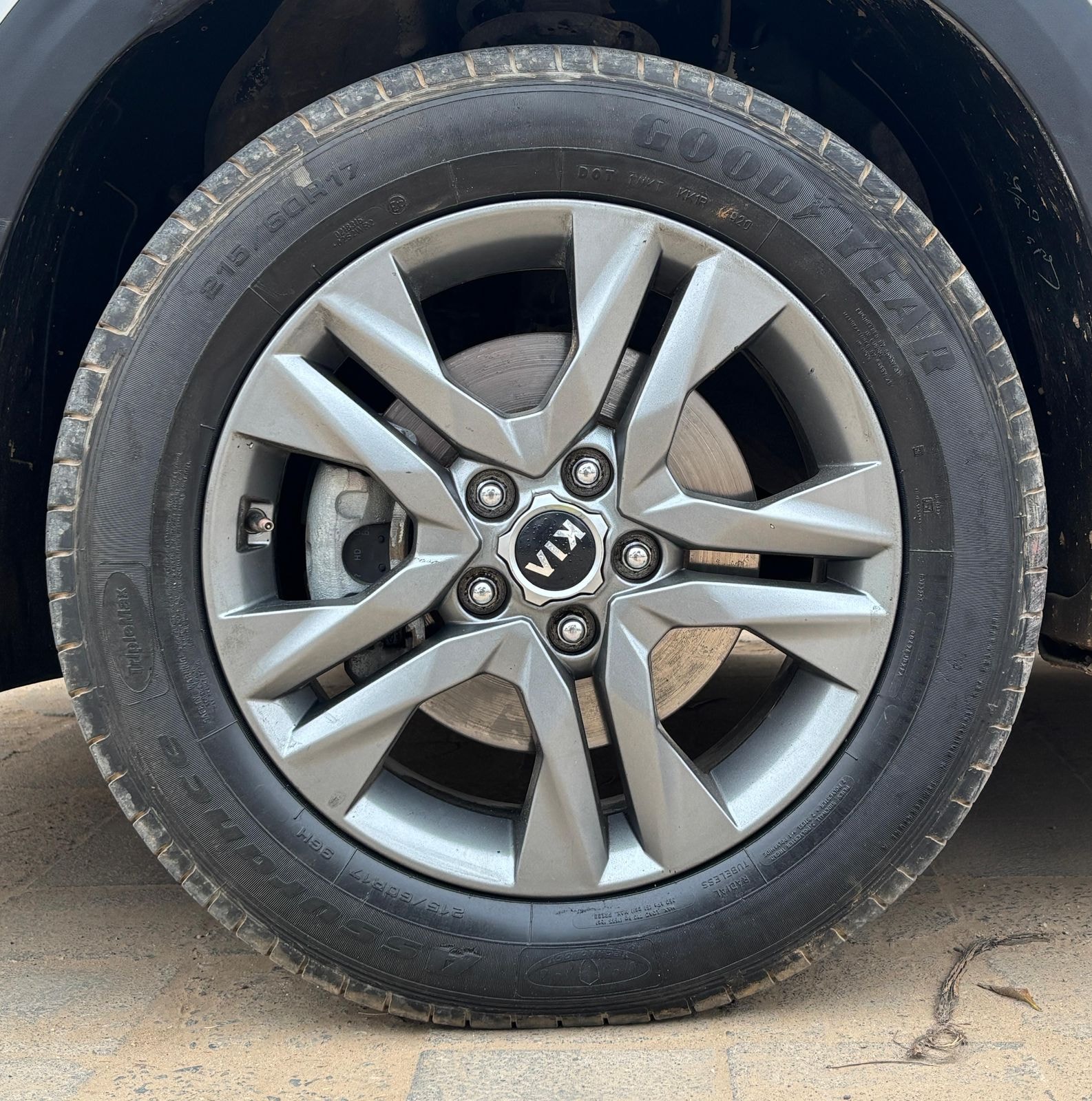 Seltos image 9 Seltos image 9