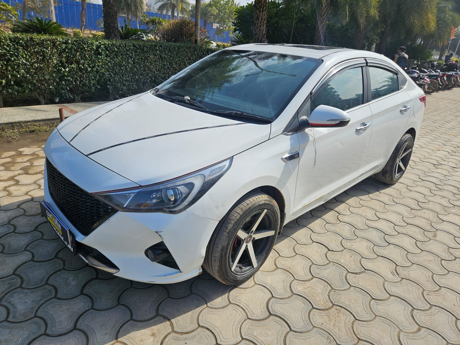 Verna image 2 Verna image 2