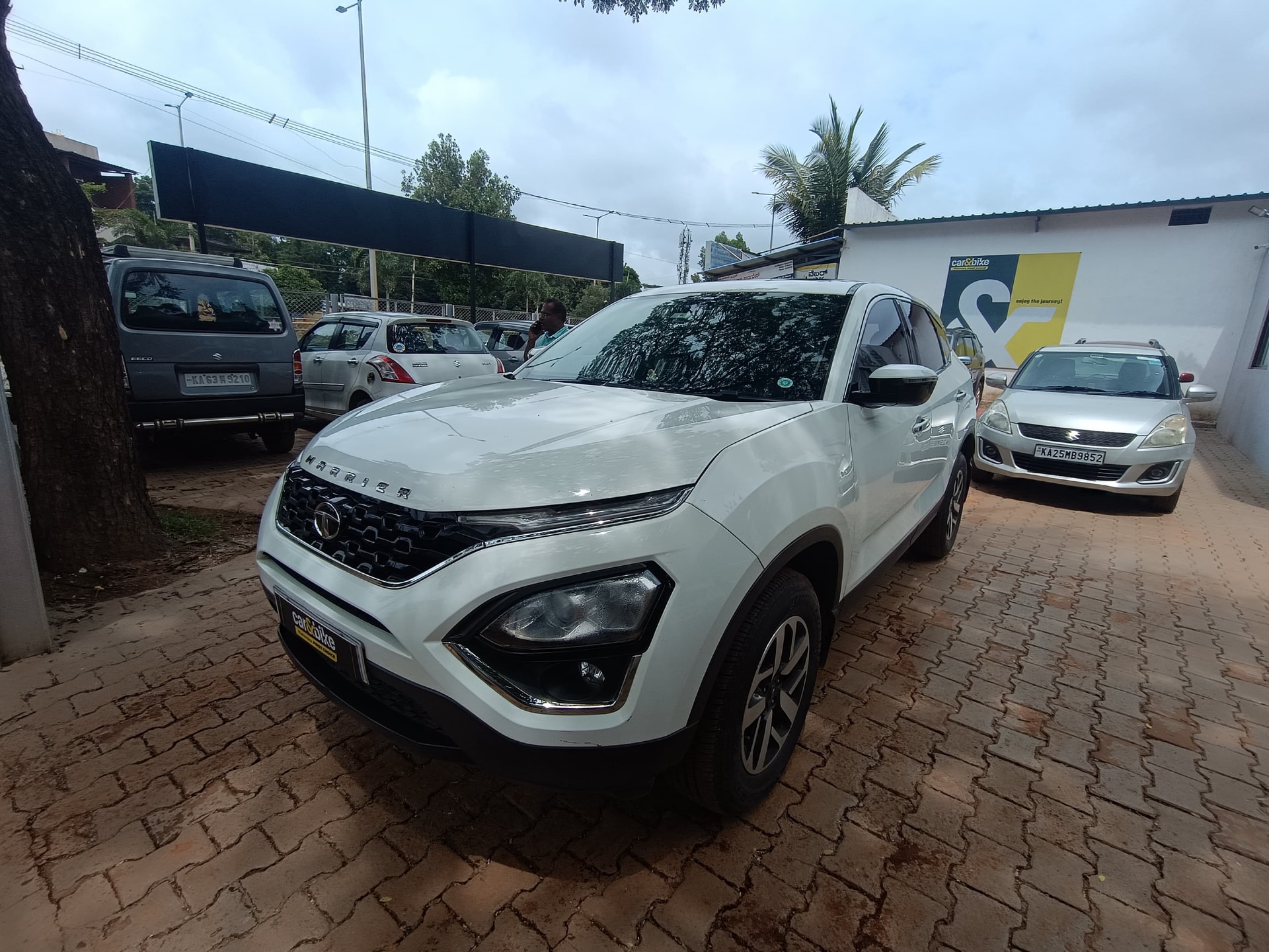 Harrier image 1 Harrier image 1