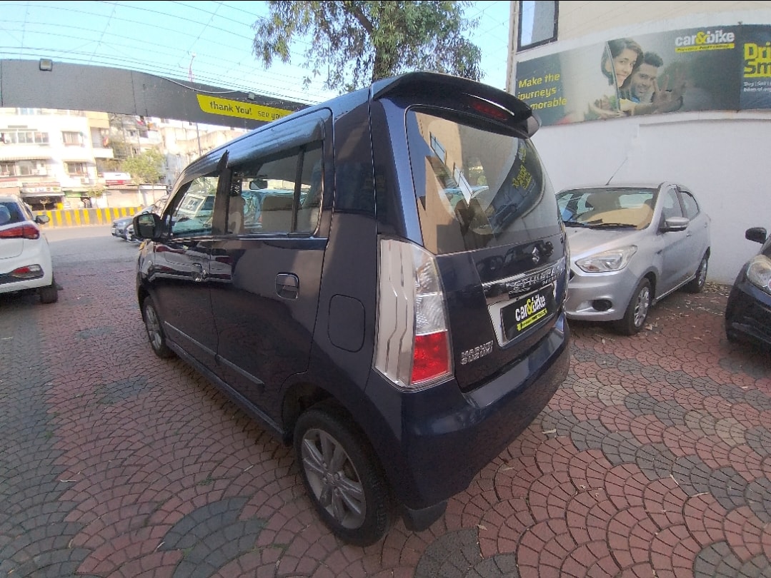 Stingray image 3 Stingray image 3