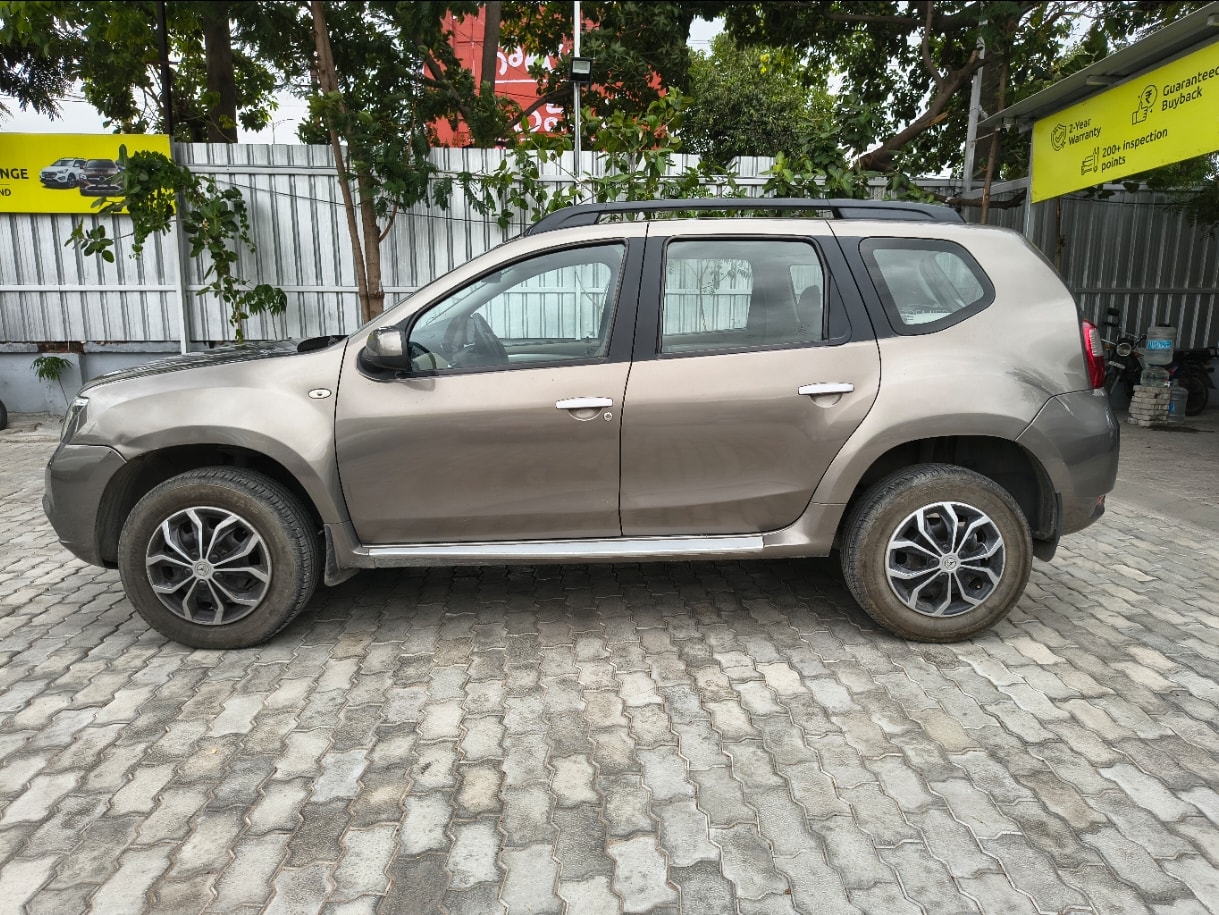 Terrano image 1 Terrano image 1