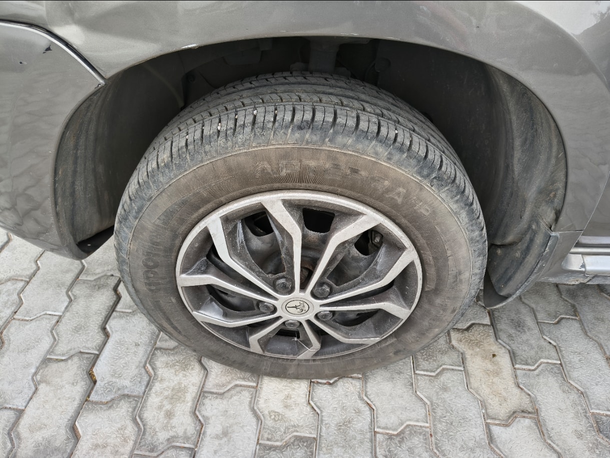 Terrano image 8 Terrano image 8