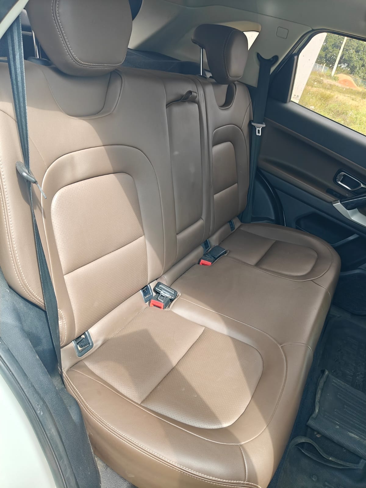 Harrier image 15 Harrier image 15