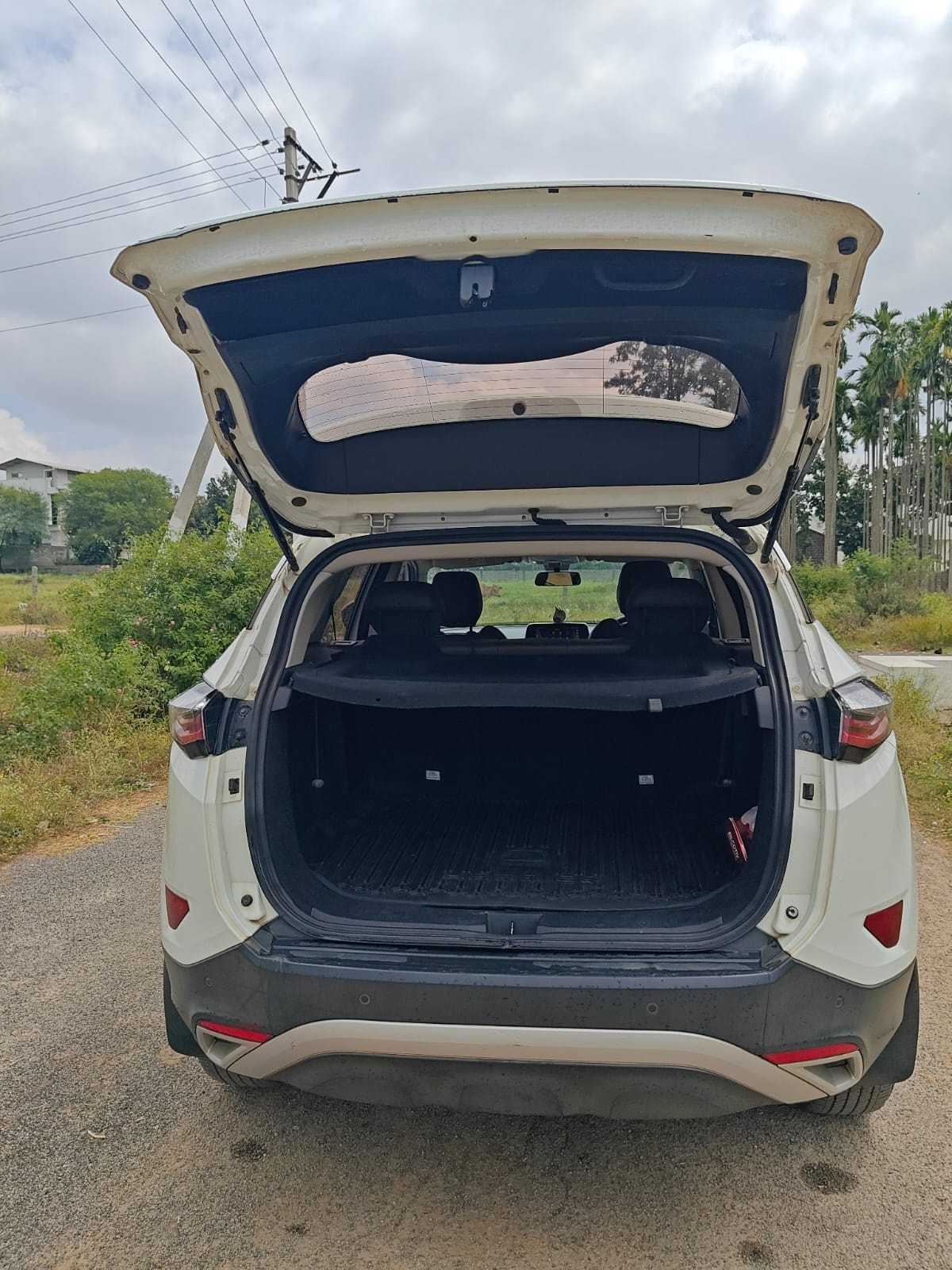 Harrier image 10 Harrier image 10