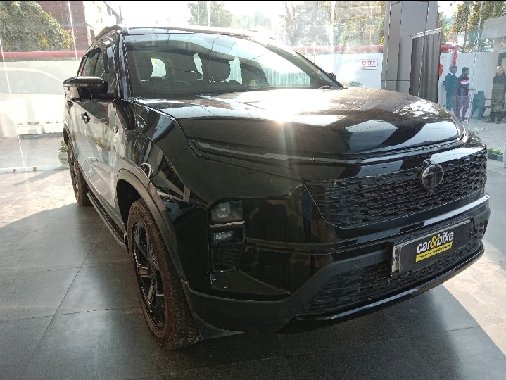 Safari image 4 Safari image 4