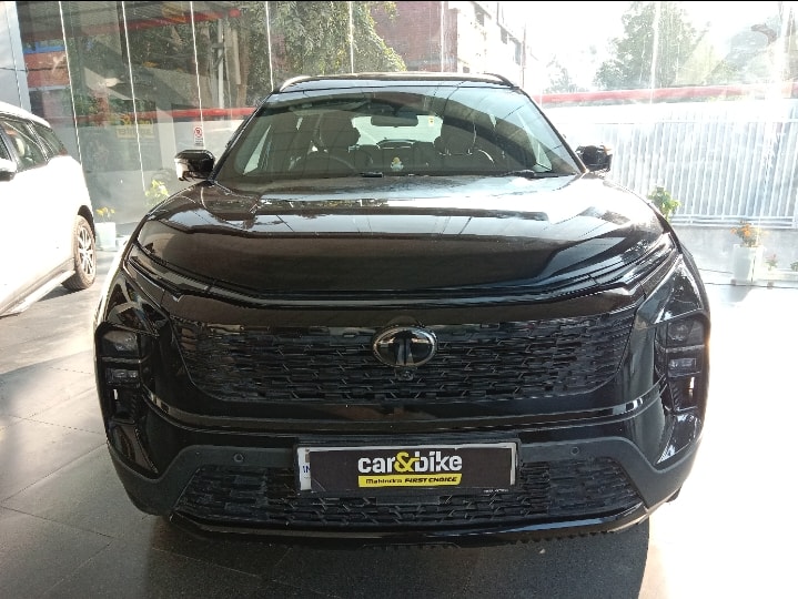 Safari image 5 Safari image 5