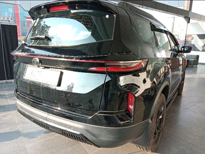 Safari image 3 Safari image 3