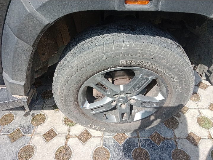 Thar image 9 Thar image 9