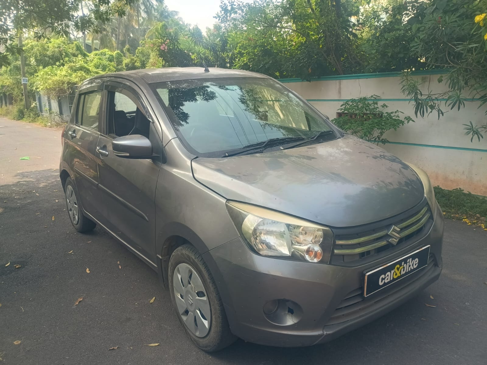 Celerio image 7 Celerio image 7