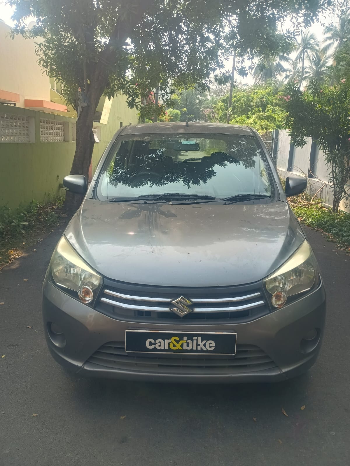 Celerio image 8 Celerio image 8