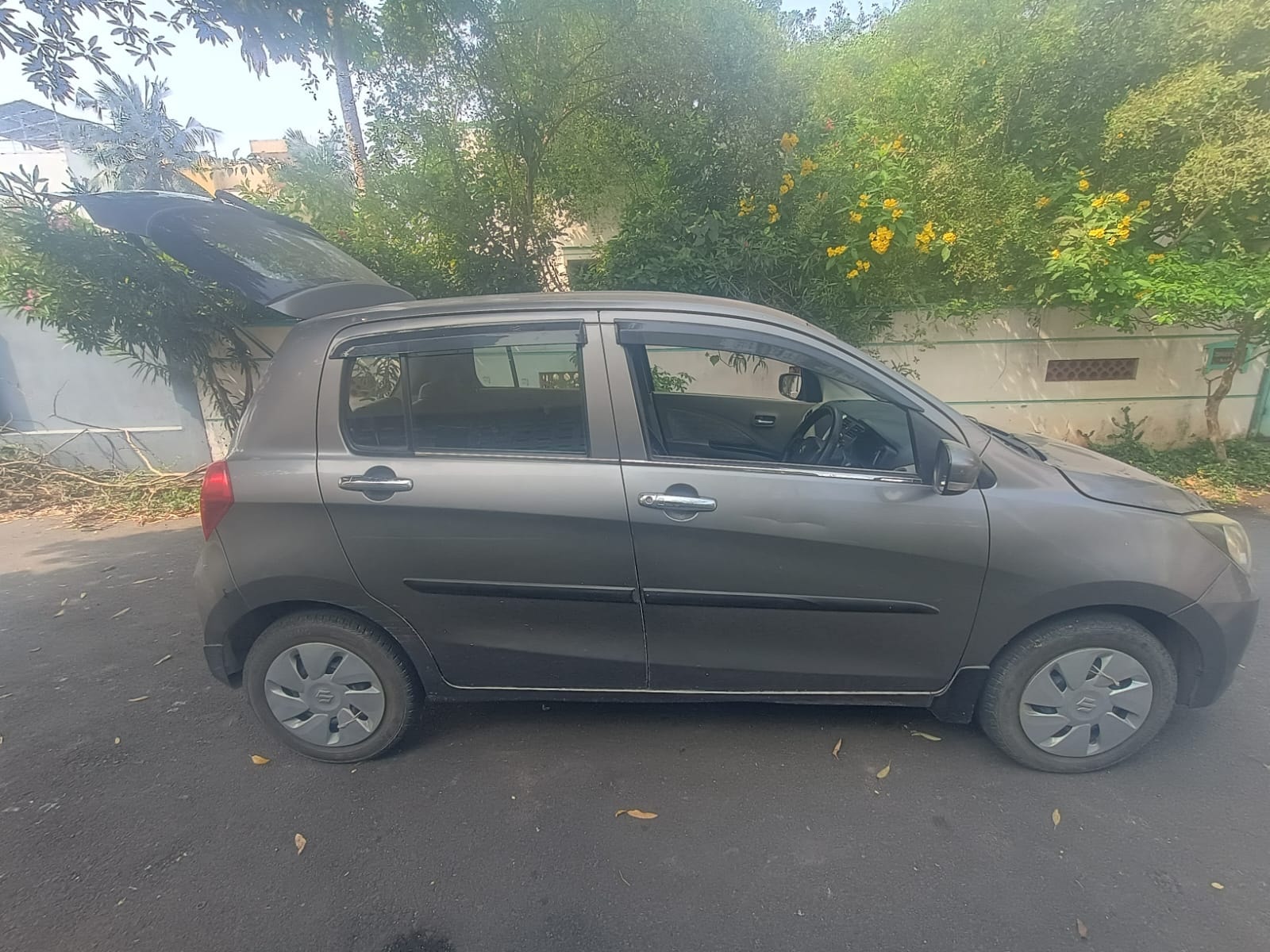 Celerio image 10 Celerio image 10