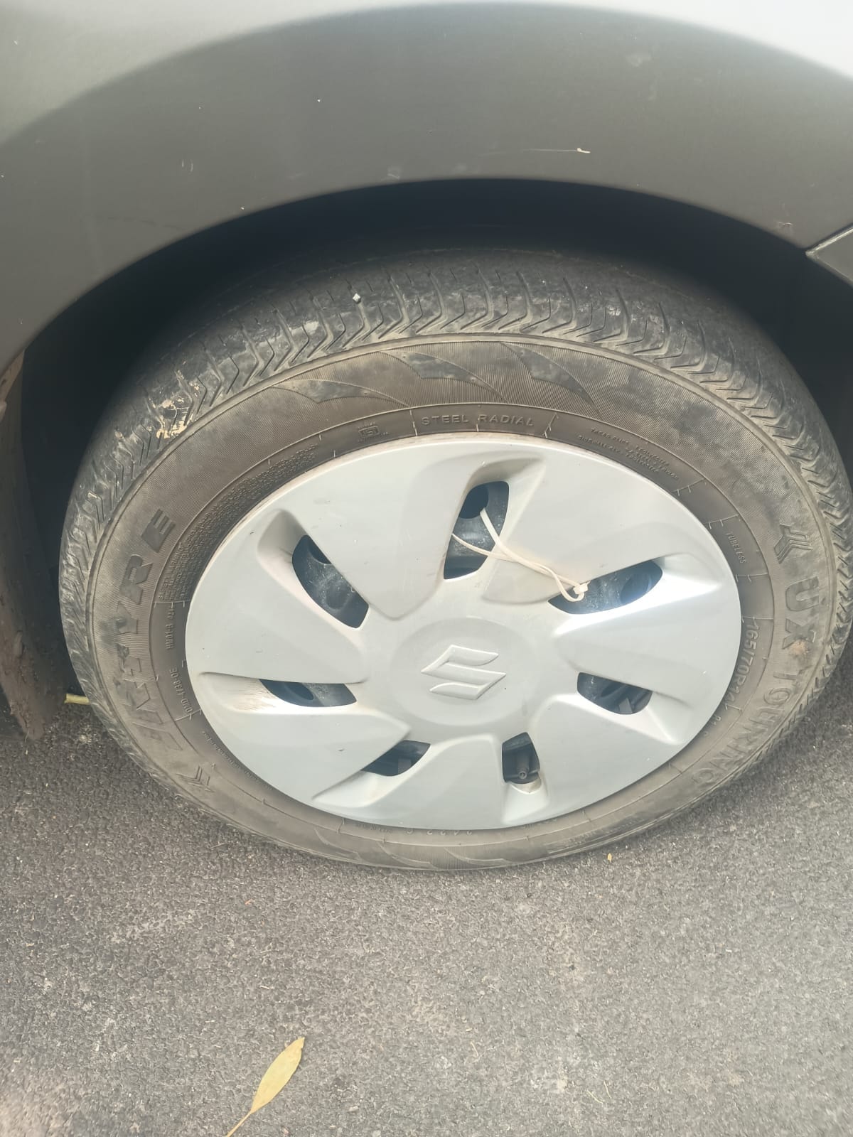 Celerio image 9 Celerio image 9