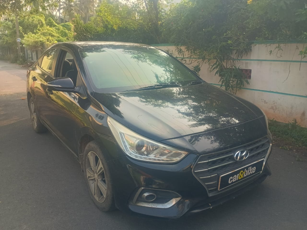 Verna image 7 Verna image 7