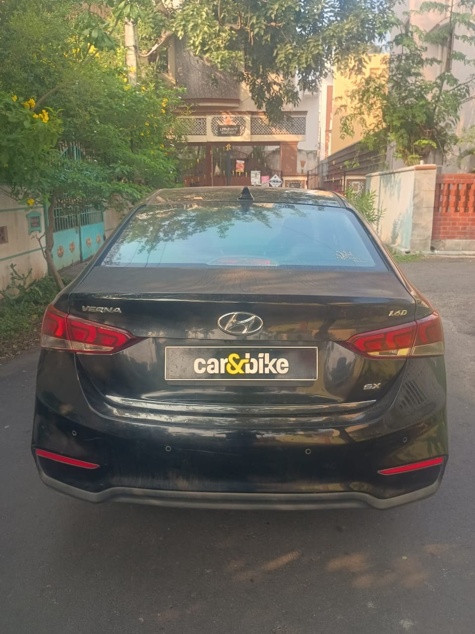 Verna image 4 Verna image 4