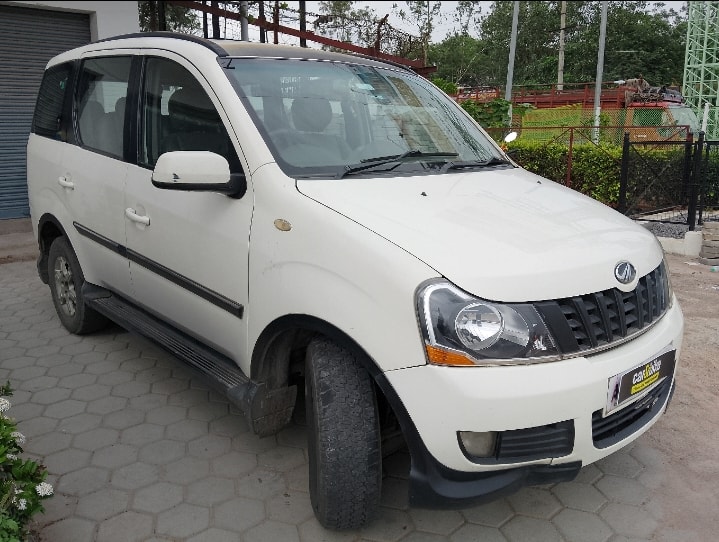 Xylo image 7 Xylo image 7