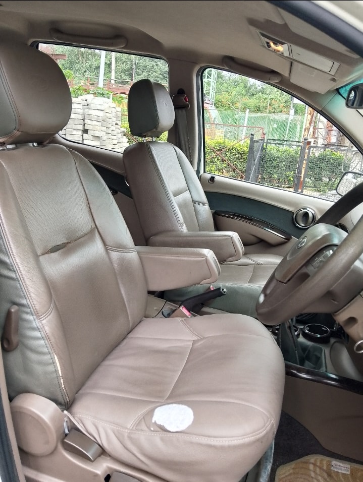 Xylo image 13 Xylo image 13