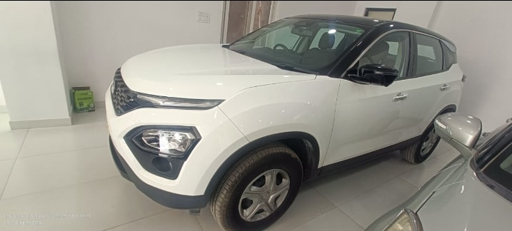 Harrier image 4 Harrier image 4