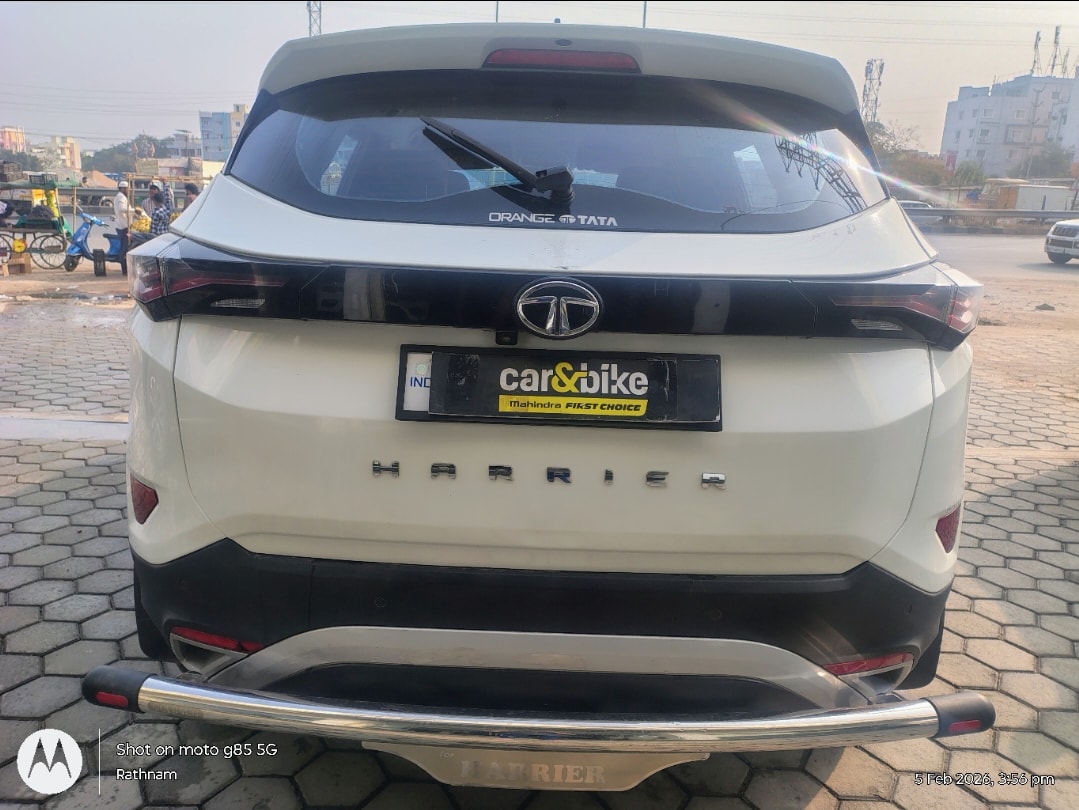 Harrier image 7 Harrier image 7