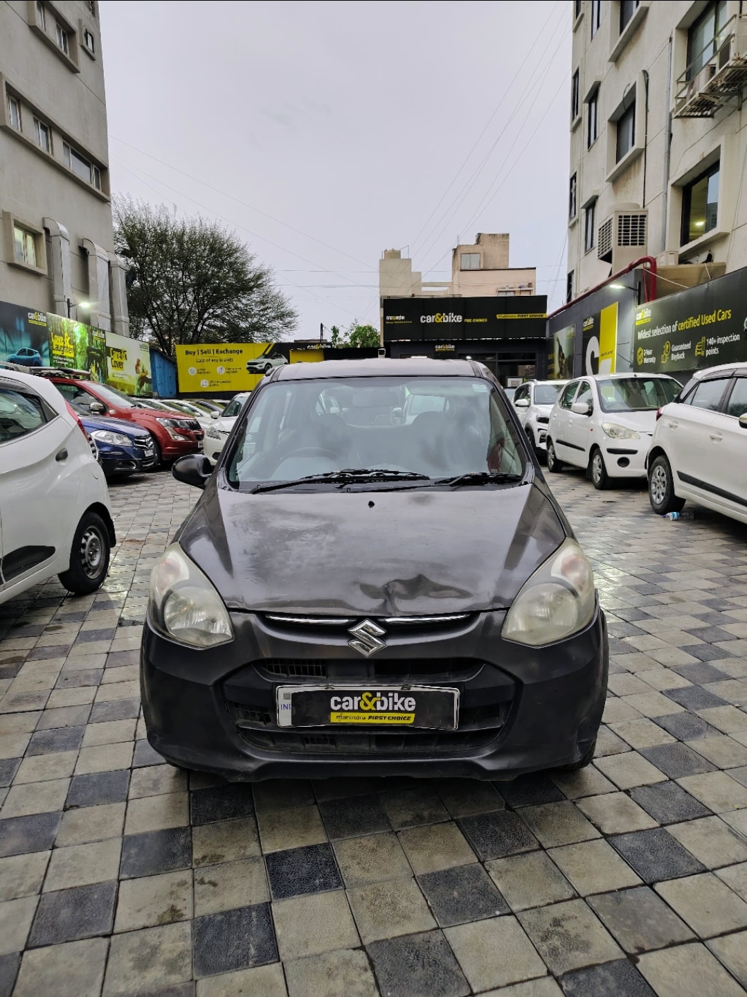 Alto 800 image 8 Alto 800 image 8