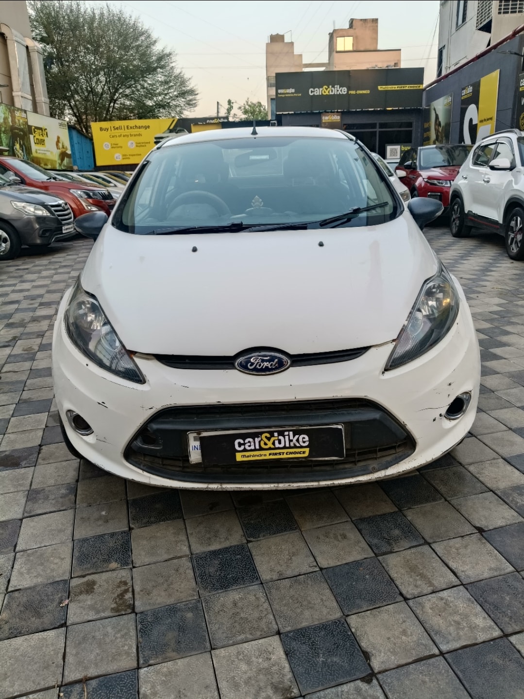 Fiesta image 7 Fiesta image 7