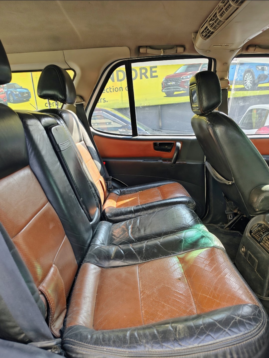 Safari image 12 Safari image 12