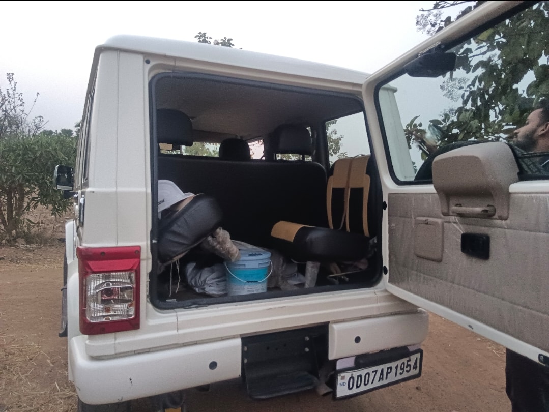 Bolero image 10 Bolero image 10