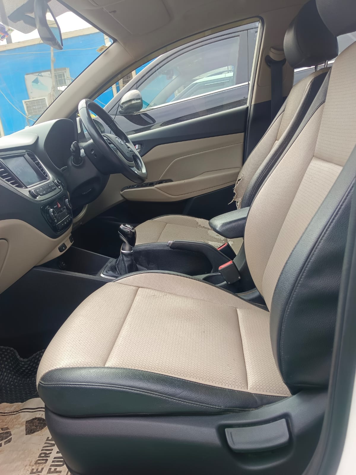 Verna image 15 Verna image 15