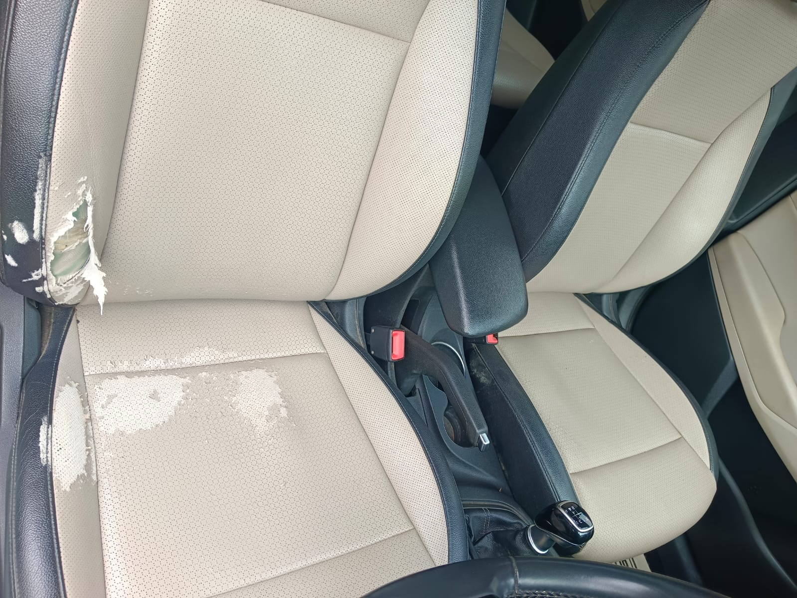 Verna image 13 Verna image 13