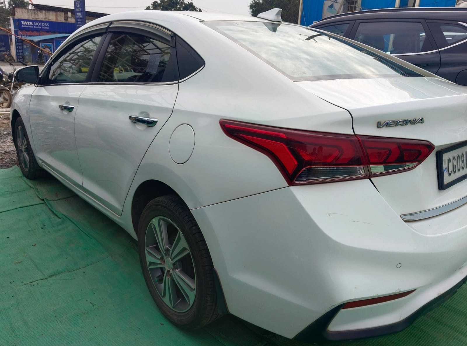 Verna image 2 Verna image 2