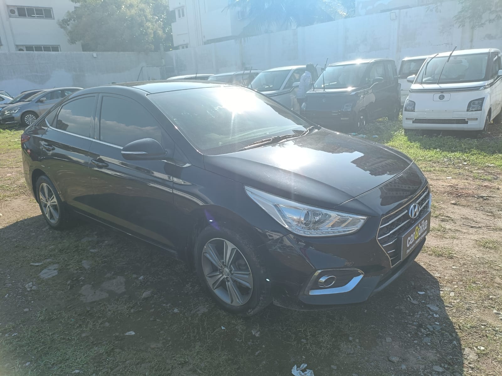 Verna image 7 Verna image 7