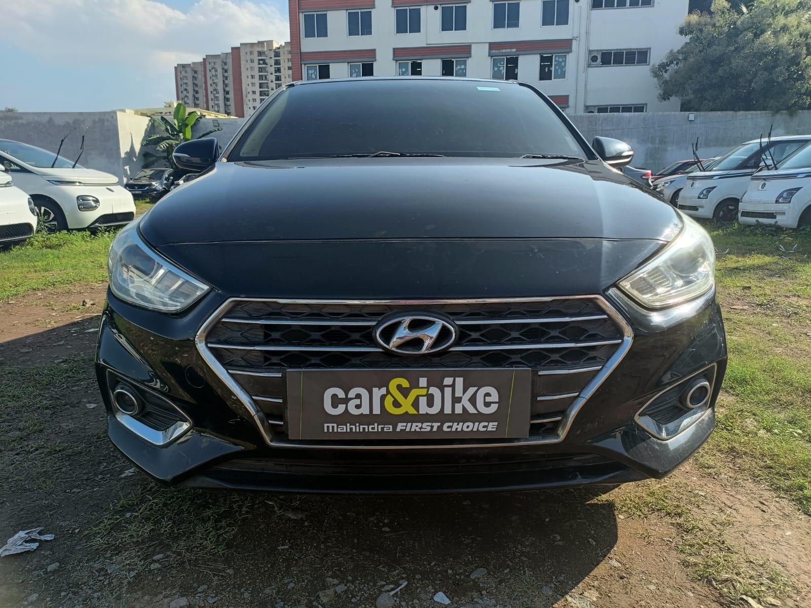 Verna image 8 Verna image 8