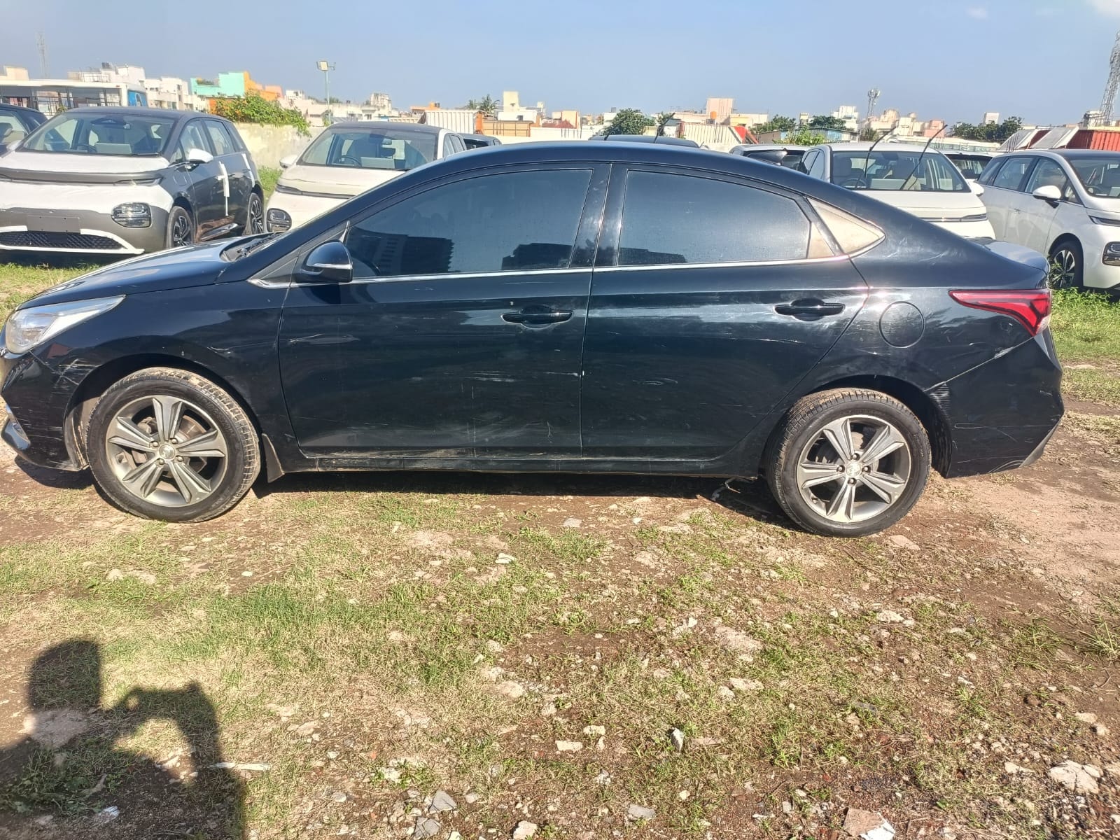 Verna image 2 Verna image 2