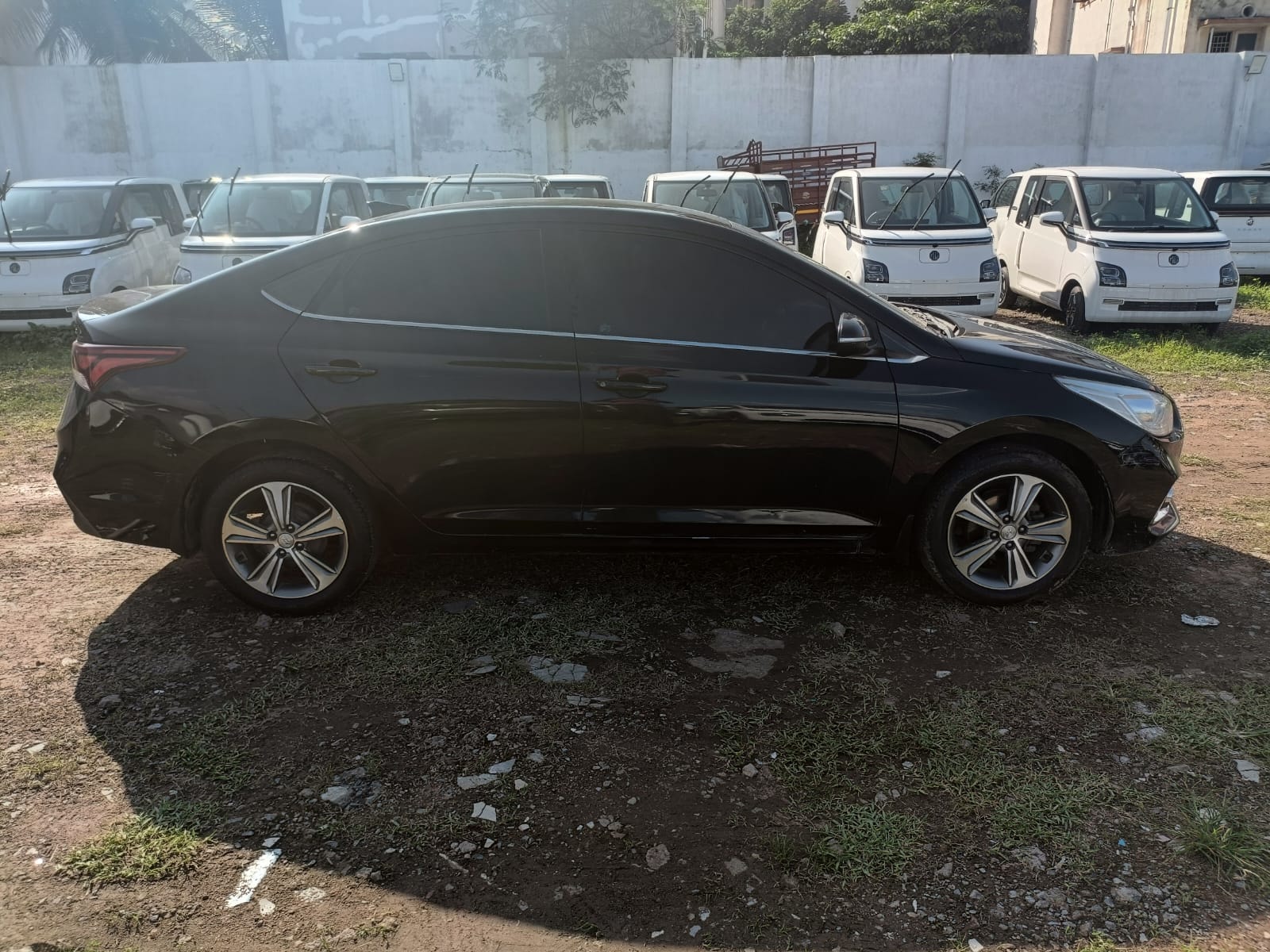 Verna image 6 Verna image 6