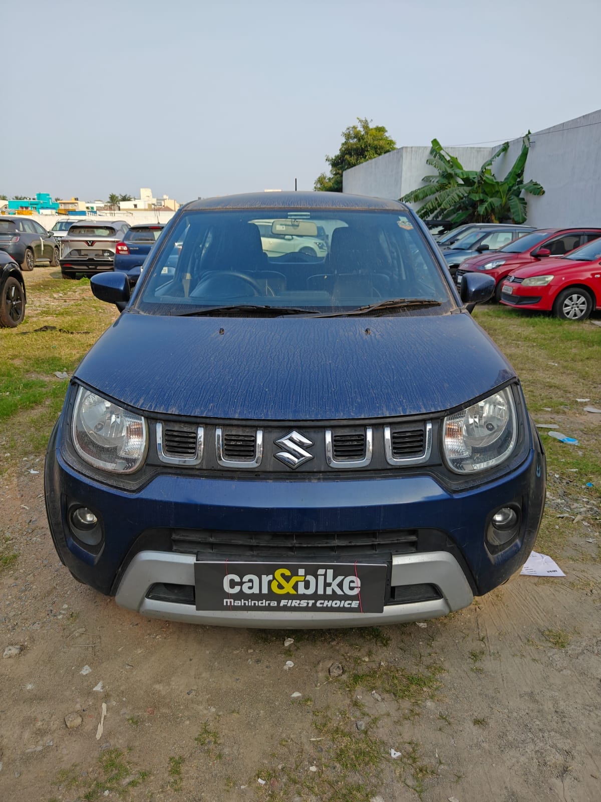 Ignis image 8 Ignis image 8