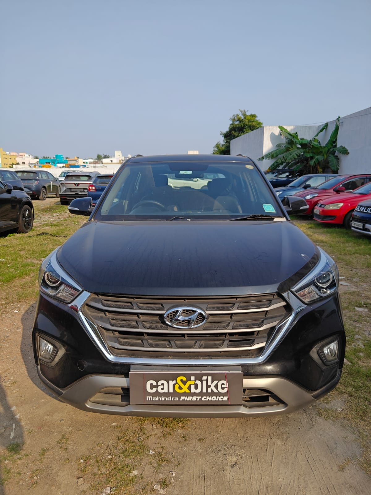 Creta image 8 Creta image 8