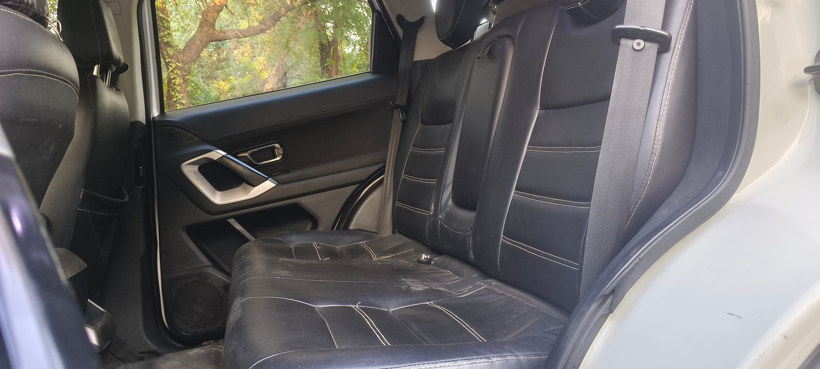 Harrier image 18 Harrier image 18